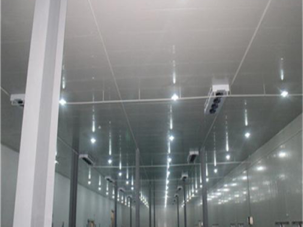 建造安裝食品低溫冷藏庫有哪些因素影響造價(jià)？